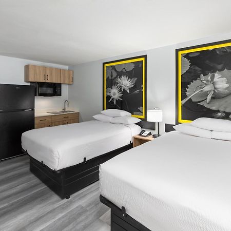 Отель Super 8 By Wyndham Alexandria La Экстерьер фото